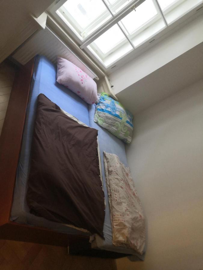 Private Room In Shared Luxurious Palace Like Apartment With 2 Bathrooms Including Whirlpool And Virtual Reality Прага Екстериор снимка