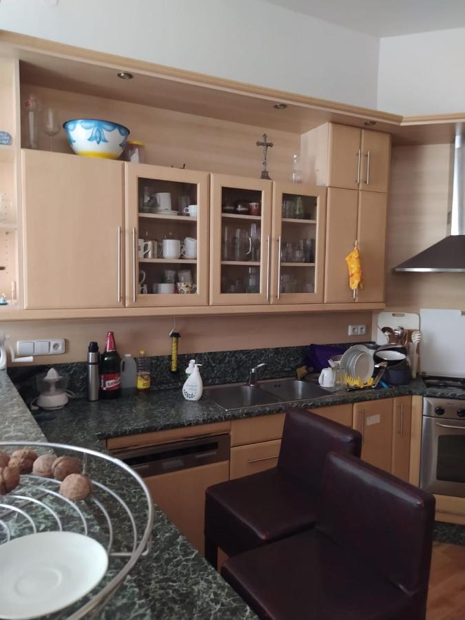 Private Room In Shared Luxurious Palace Like Apartment With 2 Bathrooms Including Whirlpool And Virtual Reality Прага Екстериор снимка