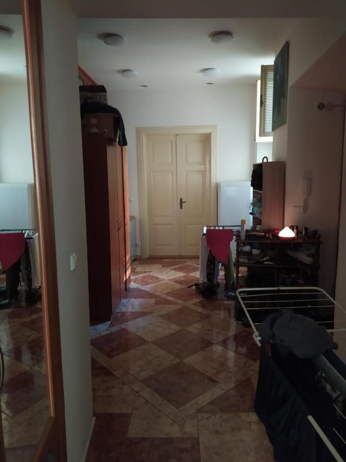 Private Room In Shared Luxurious Palace Like Apartment With 2 Bathrooms Including Whirlpool And Virtual Reality Прага Екстериор снимка